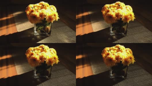 Chrysanthemums in a glass vase time lapse long exposure高清在线视频素材下载