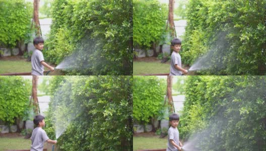 孩子在家给树浇水。生态环境概念高清在线视频素材下载