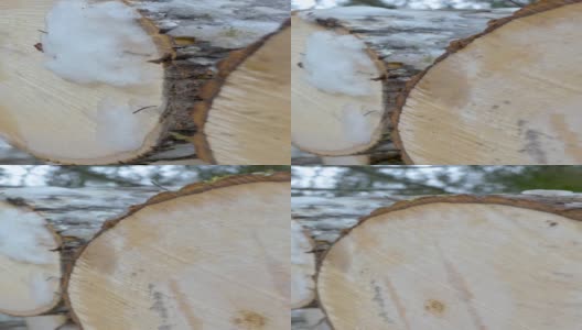 近距离观察在爱沙尼亚垂直视频中切割的原木边缘高清在线视频素材下载