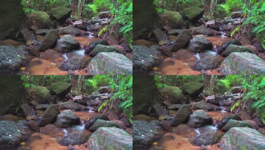 森林里的山涧里有泉水。水从石头上流过。山区河流高清在线视频素材下载