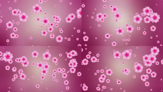 抽象季节甜美浪漫的粉红樱花樱花飘落在黄色粉色模糊的背景上高清在线视频素材下载
