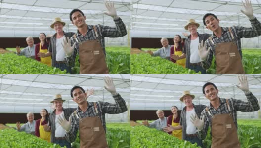 多样化的大棚农场手挥手问候手势向相机问好，欢迎和愉快的问候一起快乐团队合作在水培大棚花园农场健康食品理念。高清在线视频素材下载
