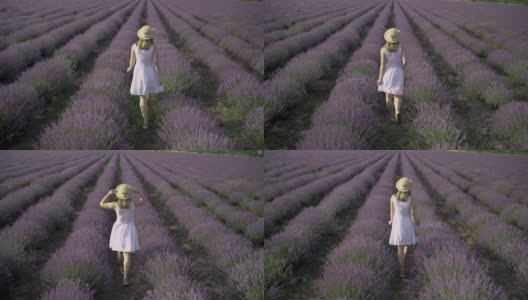 从法国普罗旺斯薰衣草田的背面看，一名身穿浅夏装、头戴黄色草帽的妇女正走在开花的草地上，享受着这段旅程。高清在线视频素材下载