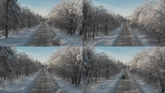 路上开着一辆车，旁边是白雪皑皑的树高清在线视频素材下载