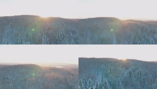 在冬天暴风雪后，加拿大魁北克省的北方自然森林的4K航拍视频视图高清在线视频素材下载