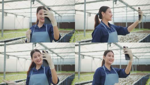 亚洲年轻女子在蔬菜水培农场用手机进行实时聊天高清在线视频素材下载