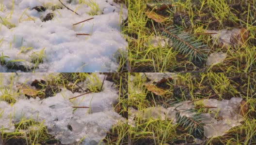 微距延时拍摄闪亮的融化的雪粒子和揭开树枝圣诞树，云杉锥和绿色的草高清在线视频素材下载