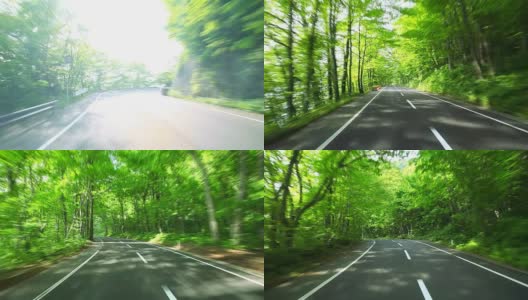 路在一片绿色的森林里高清在线视频素材下载