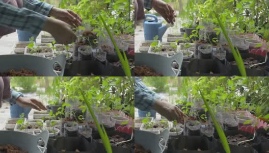 女园丁用手在家中回用的塑料容器中舀有机堆肥种植幼树。高清在线视频素材下载