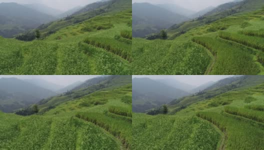 无人机航拍中国美丽的梯田和小房子高清在线视频素材下载