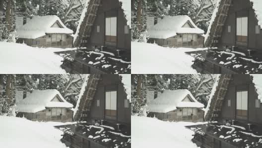 日本的房子属于白川村松树林高清在线视频素材下载