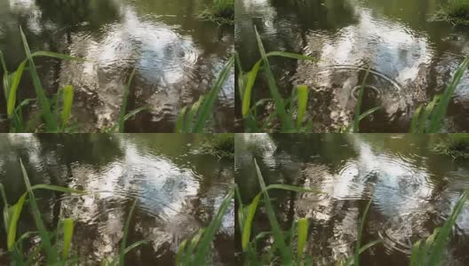 森林里的夏雨。有小溪穿过的雨林。水中倒影着树木和天空。雨滴滴入河中，在水面上打转高清在线视频素材下载