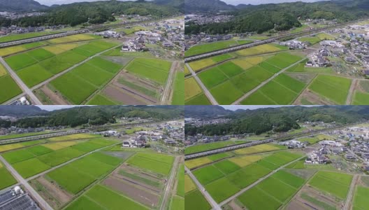 无人机拍摄的日本稻田鸟瞰图高清在线视频素材下载