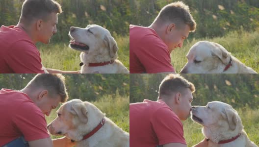 一个年轻人在户外抚摸、拥抱、亲吻他的拉布拉多犬。和金毛猎犬玩耍。狗舔男人的脸。与家畜的爱情和友谊。景观背景。Slowmotion高清在线视频素材下载