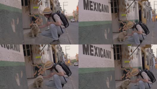 在墨西哥，一名男子在一个墨西哥标志旁抚摸着一只流浪狗高清在线视频素材下载