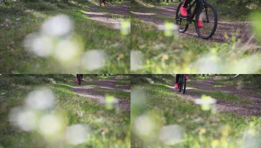 一个女人在森林里的小路上骑着山地车高清在线视频素材下载