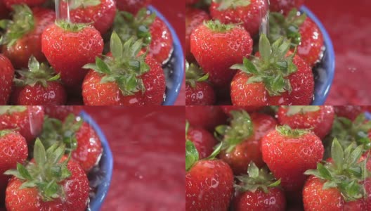 用蓝色的碗清洗新鲜的草莓高清在线视频素材下载