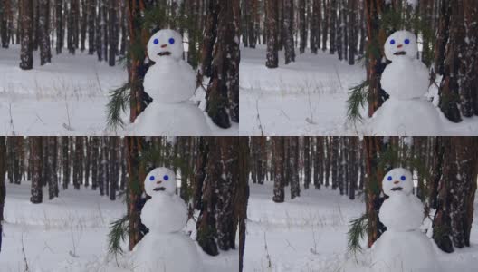 松树林里的雪人站在户外高清在线视频素材下载