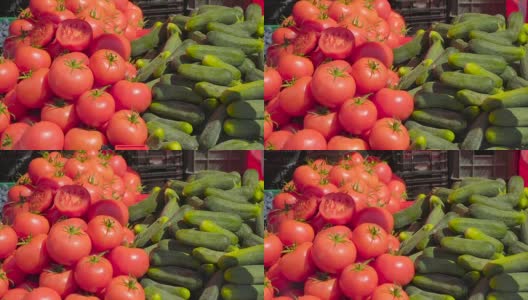 展出的新鲜西红柿和黄瓜高清在线视频素材下载