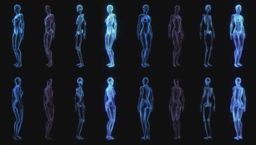 人体女性解剖三维动画生物科学技术高清在线视频素材下载