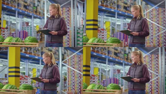 女员工检查生鲜仓库的西瓜发货情况高清在线视频素材下载
