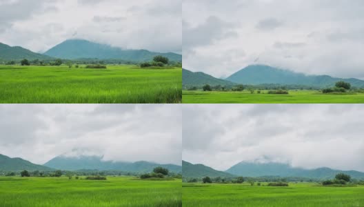 绿色稻田与美丽的山景观与雾，时间流逝视频高清在线视频素材下载
