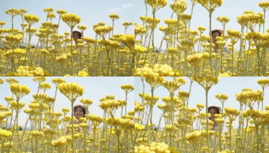 一个女孩在花丛中高清在线视频素材下载