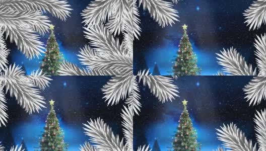 圣诞树上的树枝上飘落着雪花，白色的圣诞树映衬着夜空中闪烁的星星高清在线视频素材下载