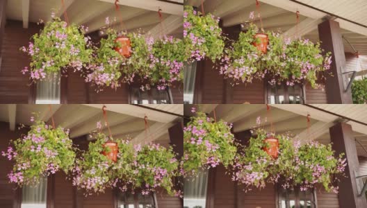 挂着粉色花朵的花盆悬挂在屋顶上，在风中摇摆。高清在线视频素材下载
