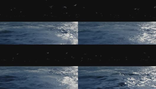 阿尔法海峡，波涛汹涌的海浪和飞翔的海鸥特写高清在线视频素材下载