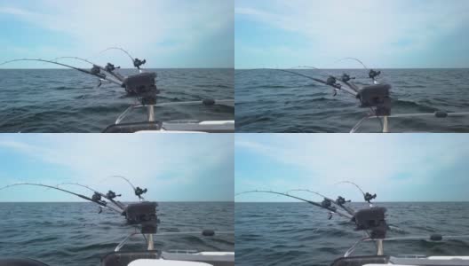 钓鱼用的钓竿高清在线视频素材下载