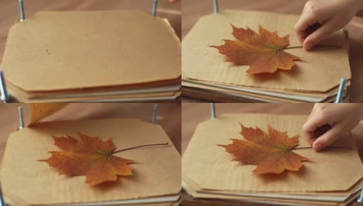 特写的手，无法辨认的小女孩拿出干燥美丽的秋叶之间的羊皮纸坐在家里的桌子。高清在线视频素材下载