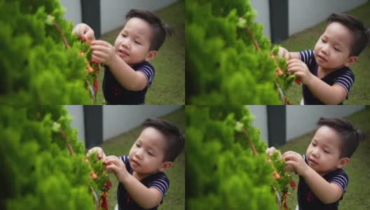 亚洲华人微笑的小男孩在树上装饰中国新年的装饰品高清在线视频素材下载