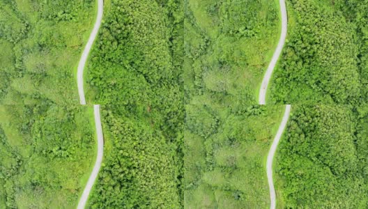 上面的柏油公路穿过山谷顶部的热带雨林高清在线视频素材下载