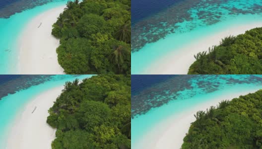 鸟瞰图的热带岛屿与棕榈树在马尔代夫高清在线视频素材下载
