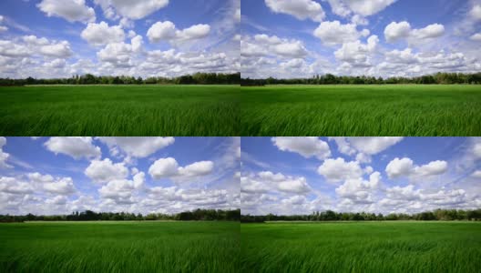 草地上的移动云高清在线视频素材下载
