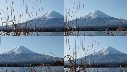 蓝天下的冬季富士山景观高清在线视频素材下载