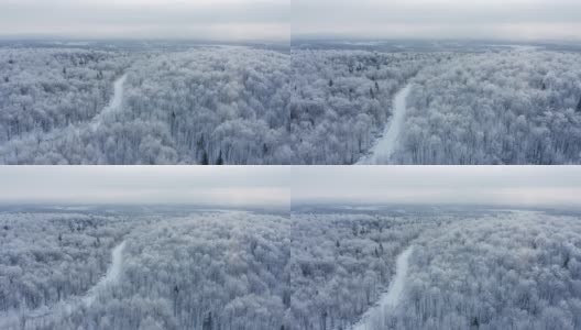 暴风雪后冬季北方自然森林的4K航拍视频，魁北克，加拿大高清在线视频素材下载