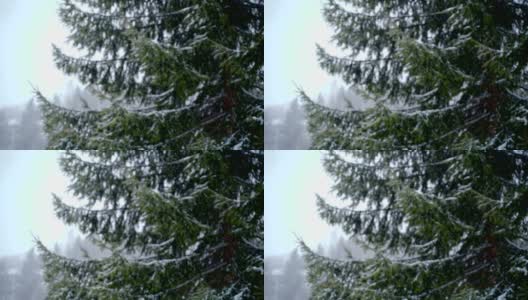 极端天气condition-snowstorm高清在线视频素材下载