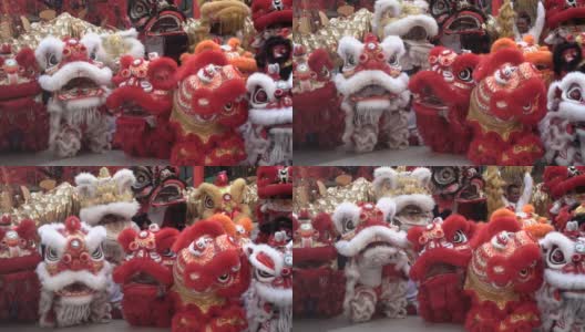 一群中国狮子在农历新年庆祝活动中表演。高清在线视频素材下载
