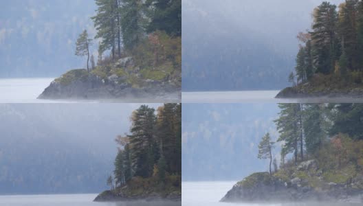 首个雪雾山区森林——阿尔泰自然保护区高清在线视频素材下载