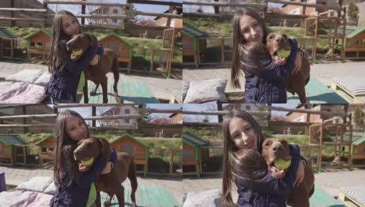 可爱的小女孩，在动物救助中心拥抱小狗高清在线视频素材下载