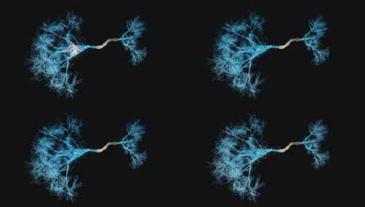 神经元的全息图高清在线视频素材下载