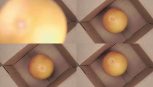 新鲜的柑橘，热带的柚子水果在慢动作落进一个硬纸板运输运输箱高清在线视频素材下载