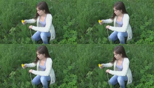 女孩在草地上采摘黄色的蒲公英。蒲公英。春季的一天。美丽的微笑少年在春天的公园与鲜花。视频片段高清静态摄像机高清在线视频素材下载