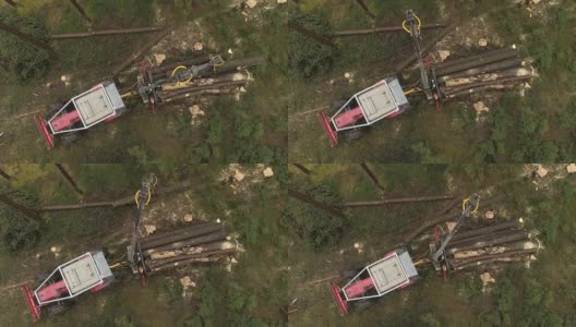 空中特写:起重机装载砍伐的原木和树干在自然的伐木卡车上高清在线视频素材下载