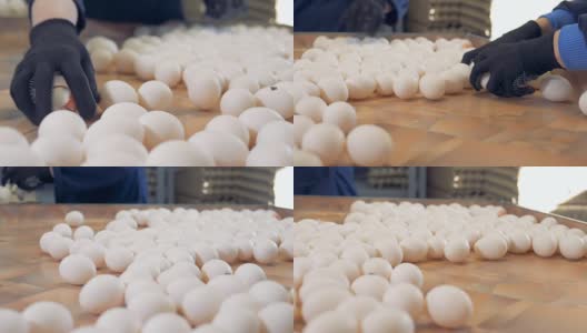在鸡蛋分拣厂包装新鲜鸡蛋的工人。高清在线视频素材下载