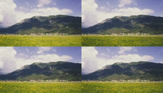田野的雏菊和野花与岩石山的背景。高清在线视频素材下载