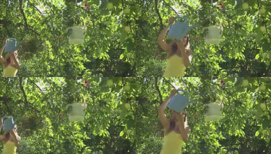 美丽的园丁女人拿着水罐浇挂在果树上的花盆。FullHD高清在线视频素材下载