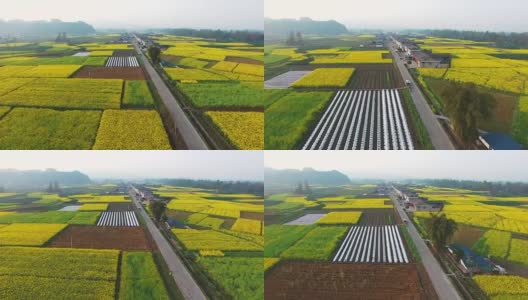 鸟瞰中国四川农村景观与油菜种子田和村庄，4k高清在线视频素材下载
